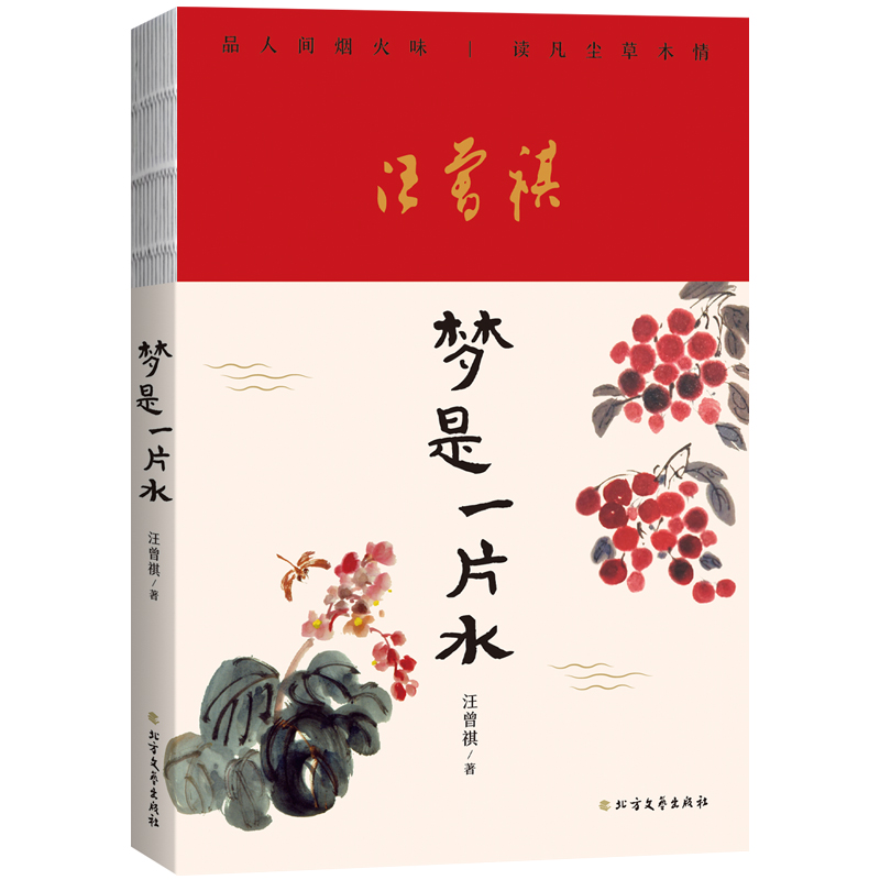 梦是一片水