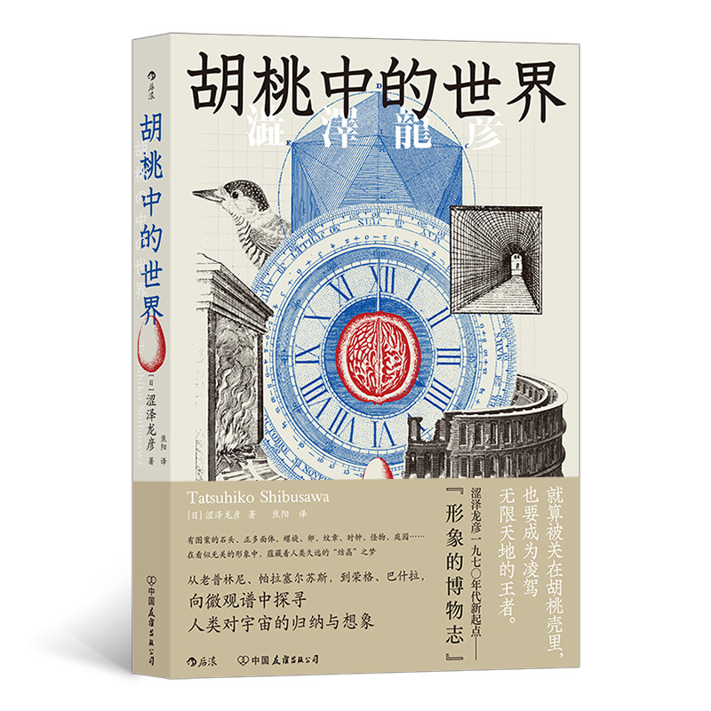 胡桃中的世界