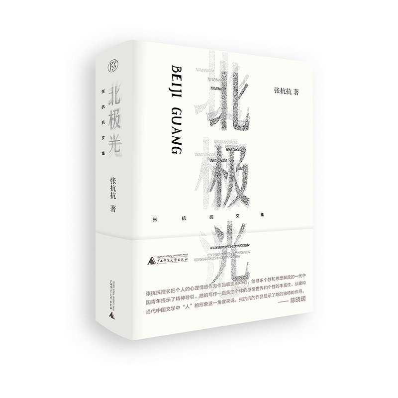 张抗抗文集  北极光