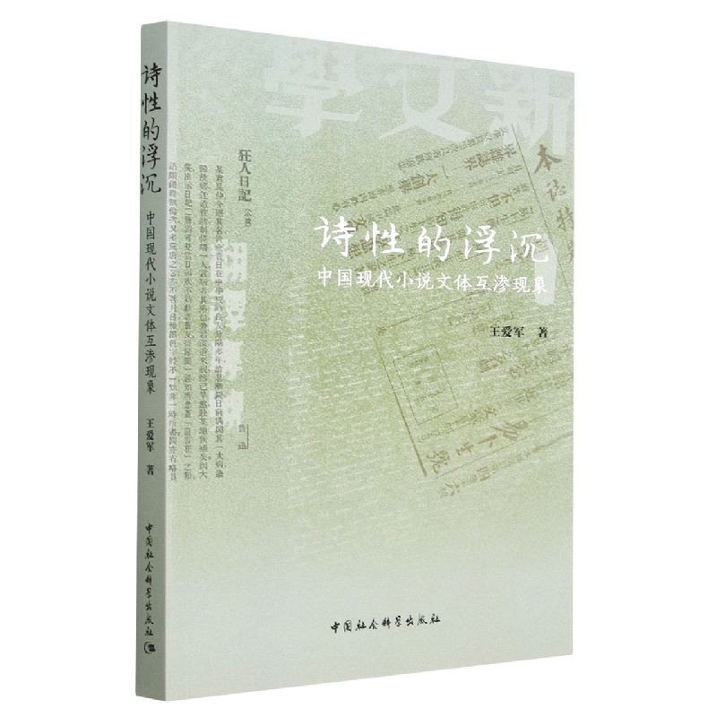 诗性的浮沉(中国现代小说文体互渗现象)
