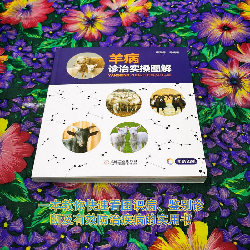 羊病诊治实操图解