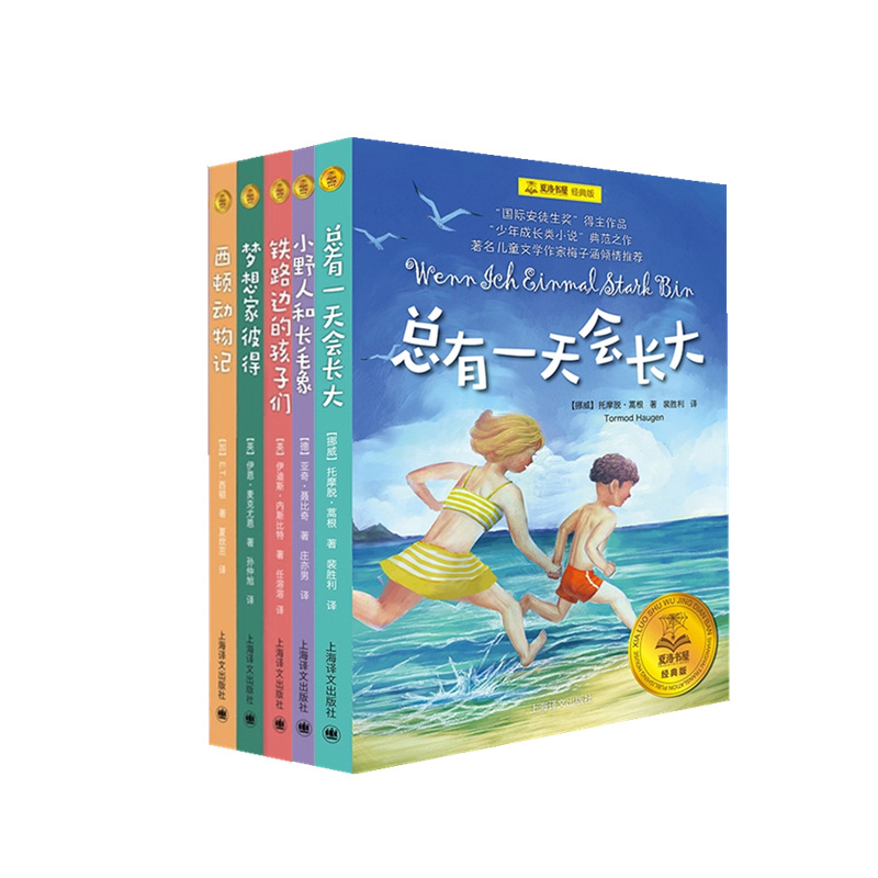 总有一天会长大 夏洛书屋经典版共5册