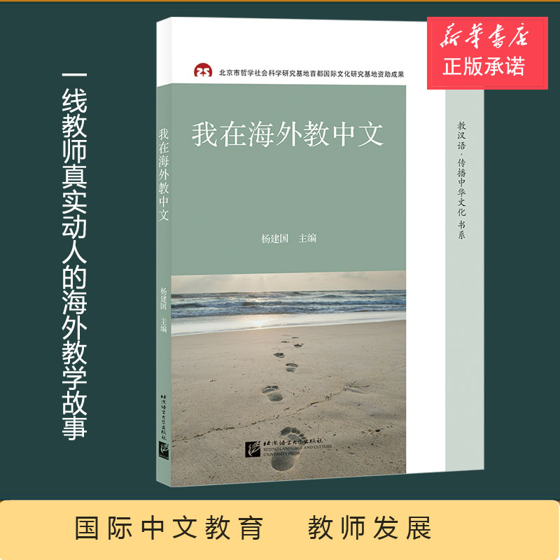 我在海外教中文