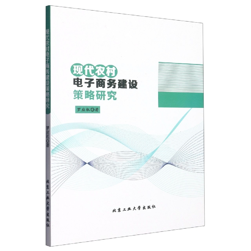 现代农村电子商务建设策略研究