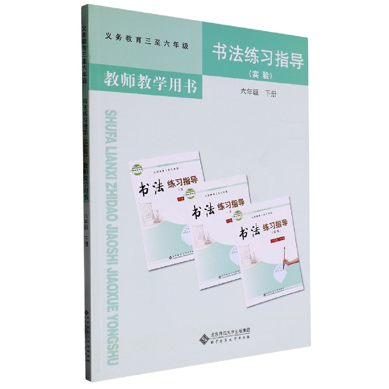 书法练习指导教师教学用书（附光盘实验6下义教3至6年级）