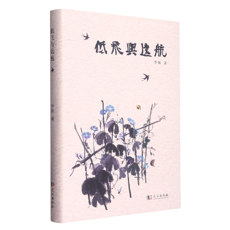 低飞与远航