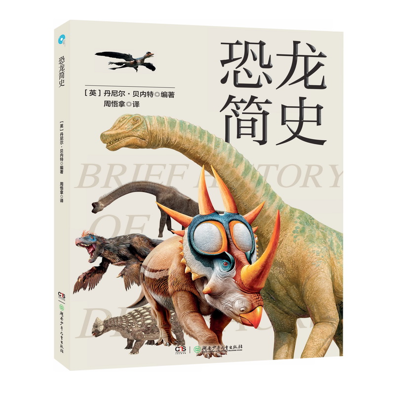 恐龙简史（揭秘冷门恐龙知识）