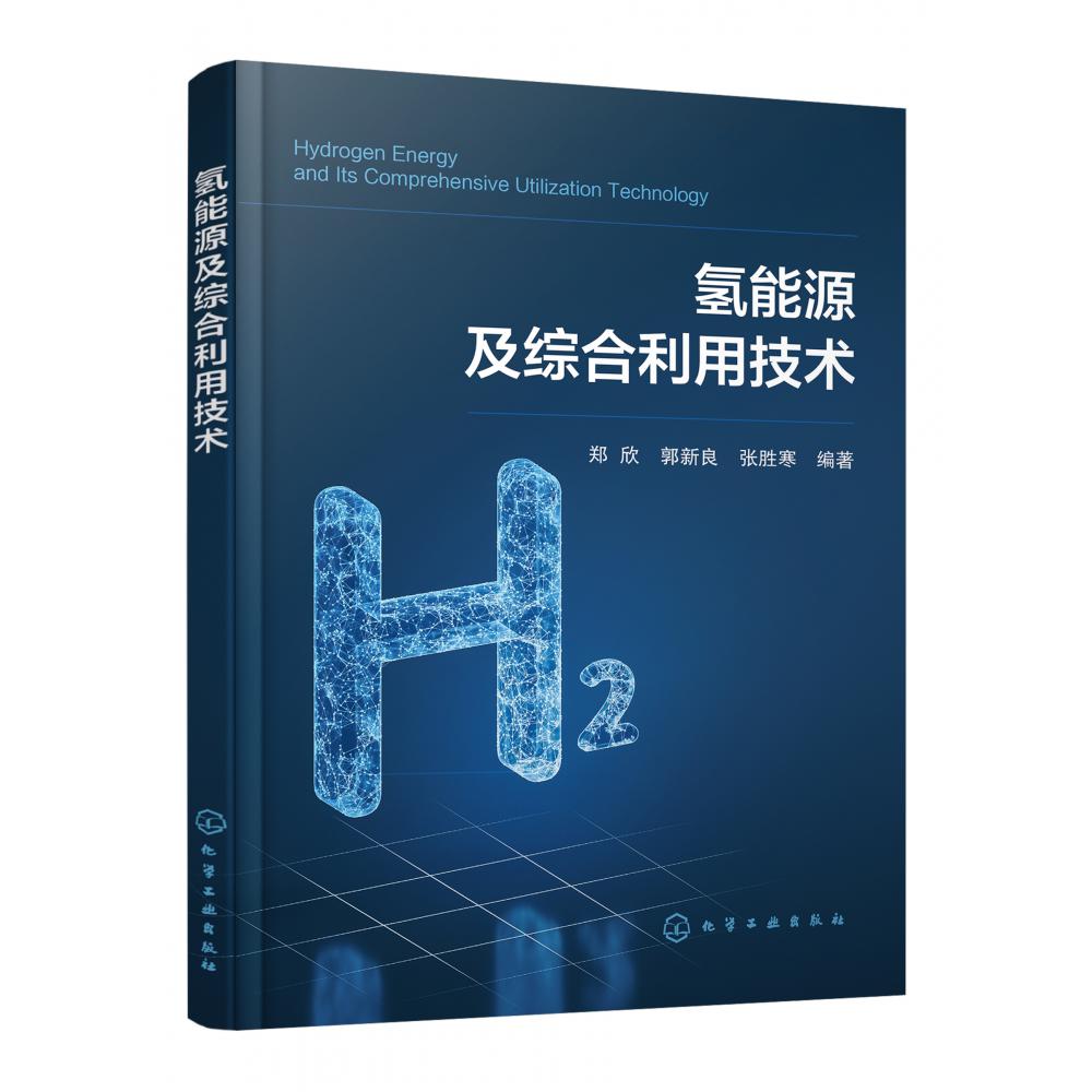 氢能源及综合利用技术