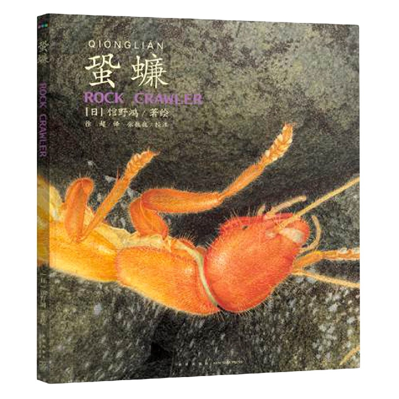 馆野鸿昆虫手绘：蛩蠊(精)