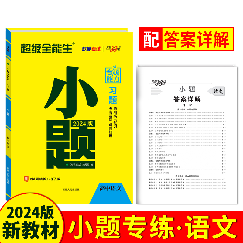 2024小题 语文 专项能力 超级全能生 天利38套