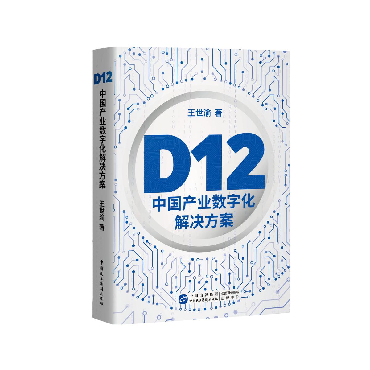 《D12:中国产业数字化解决方案》