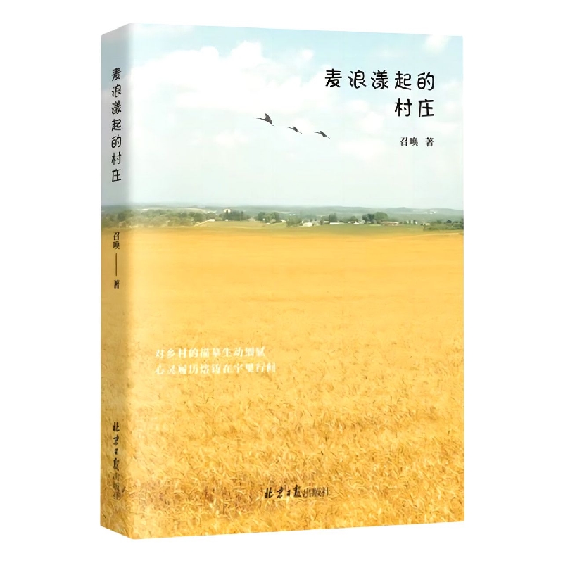 麦浪漾起的村庄