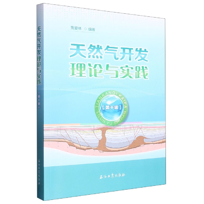 天然气开发理论与实践.第十辑