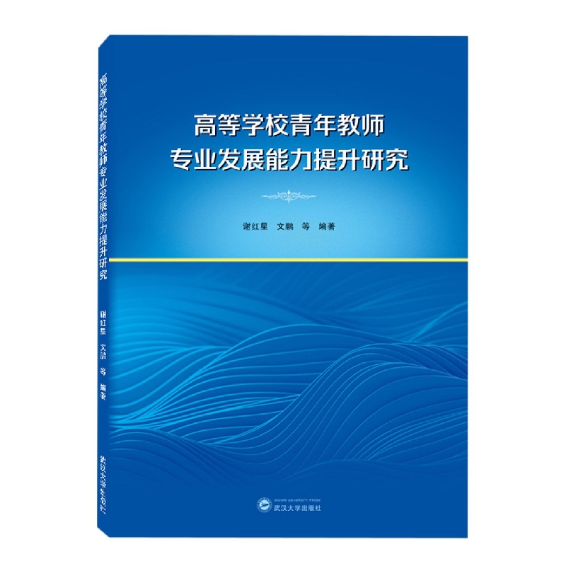 高等学校青年教师专业发展能力提升研究