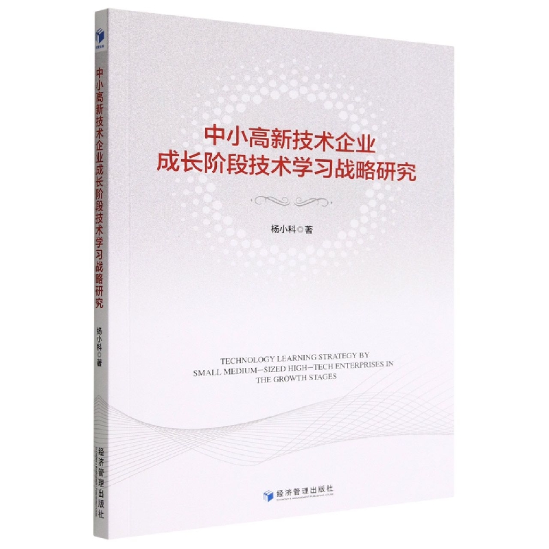 中小高新技术企业成长阶段技术学习战略研究