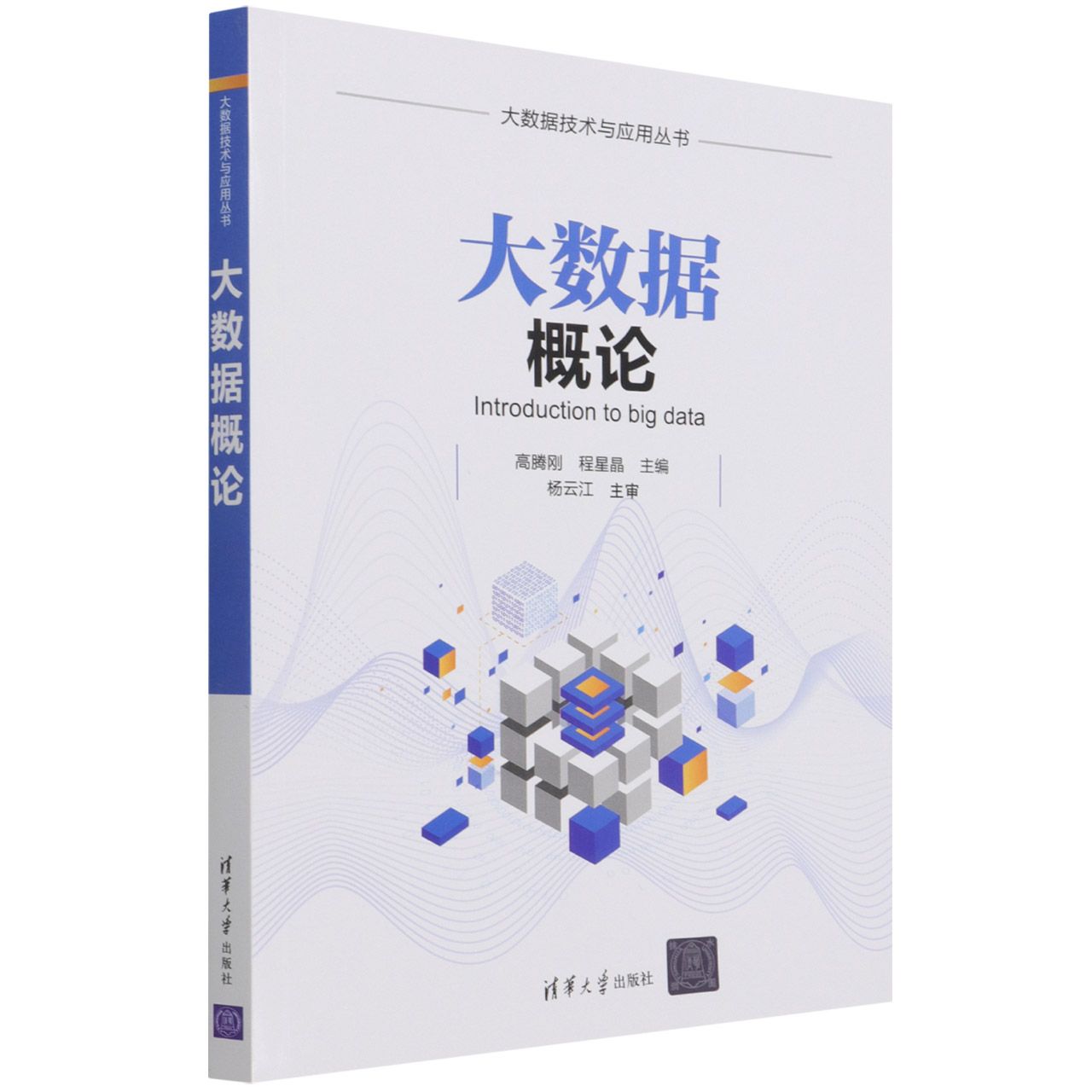 大数据概论/大数据技术与应用丛书