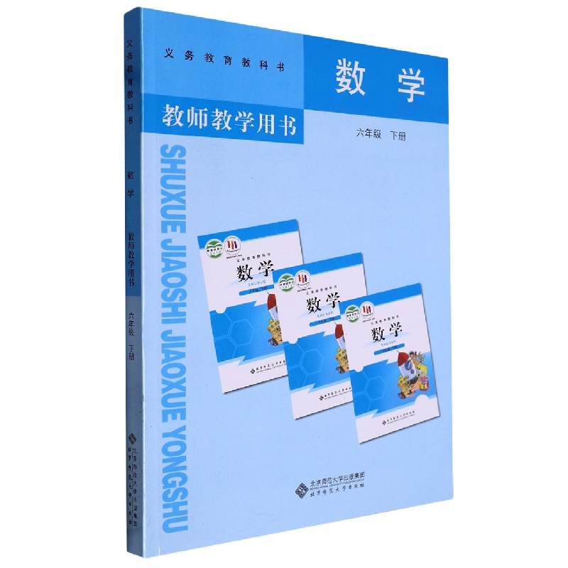 数学教师教学用书（附激活卡6下）/义教教科书