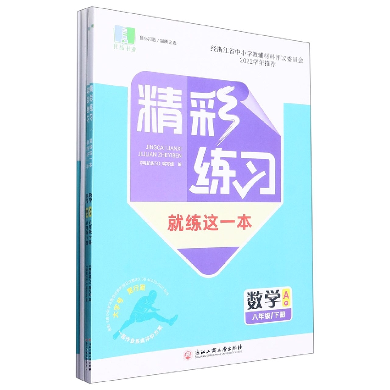 数学（8下）/精彩练习就练这一本