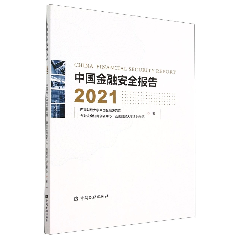 中国金融安全报告（2021）
