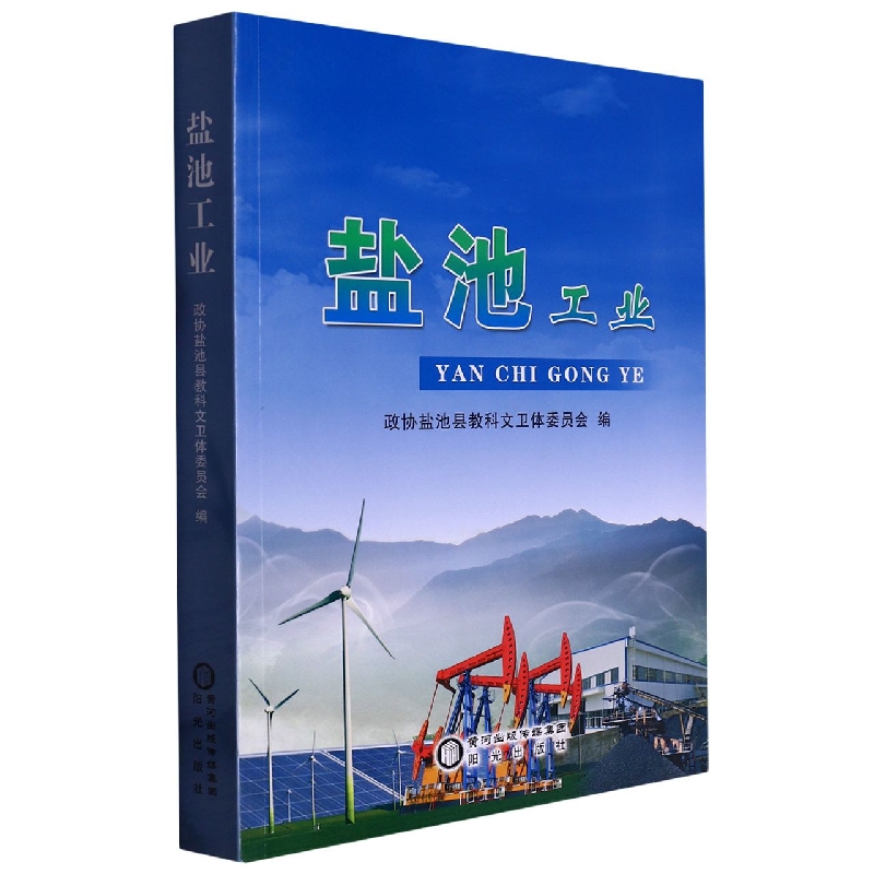 盐池工业