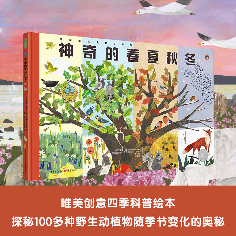 神奇的春夏秋冬