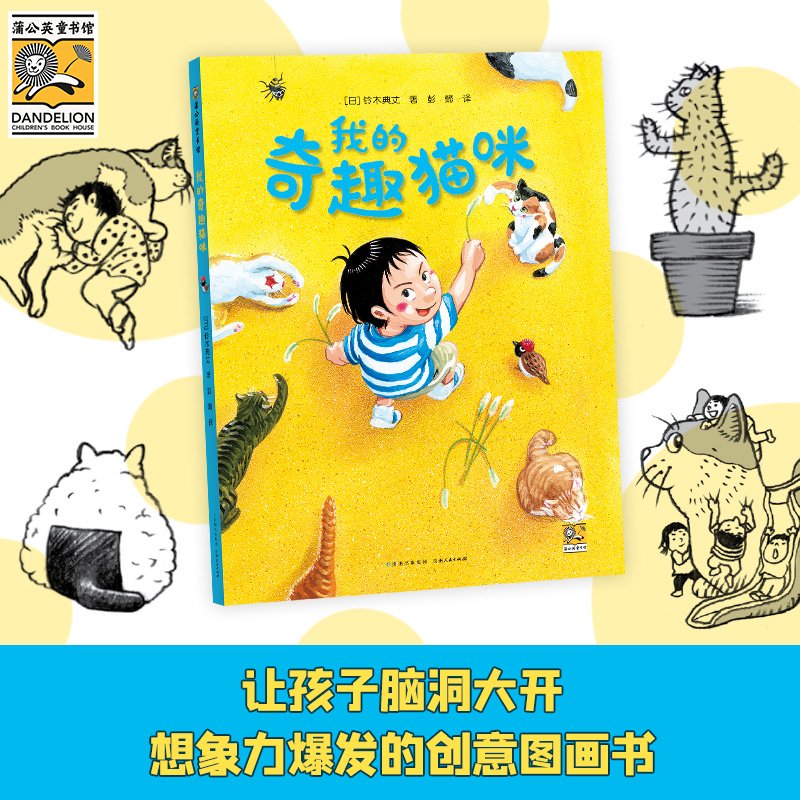 我的奇趣猫咪