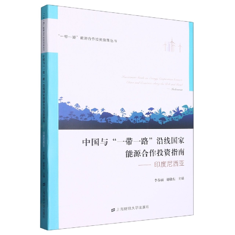 中国与“一带一路”沿线国家能源合作投资指南