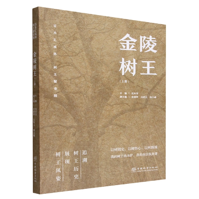 金陵树王（上）