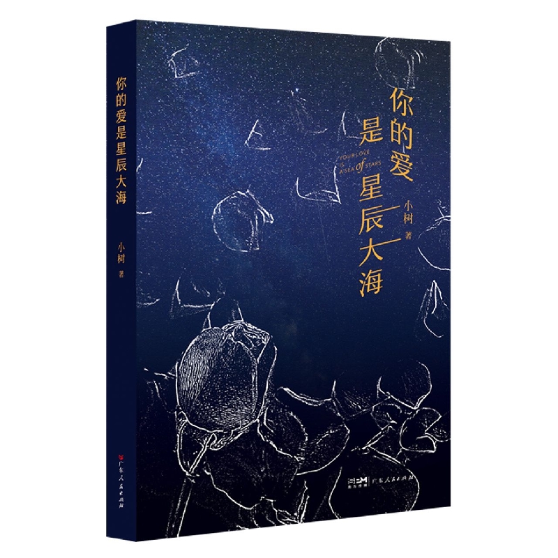 你的爱是星辰大海