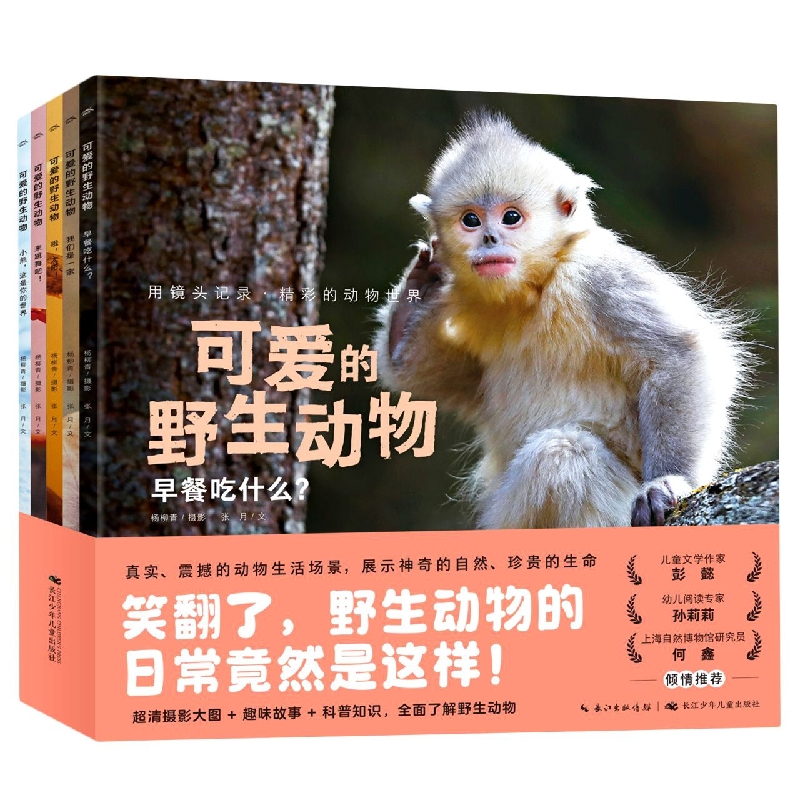 可爱的野生动物：全5册