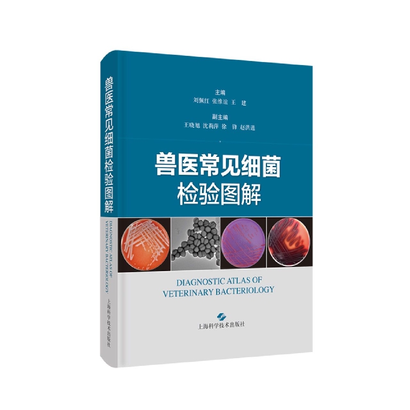 兽医常见细菌检验图解