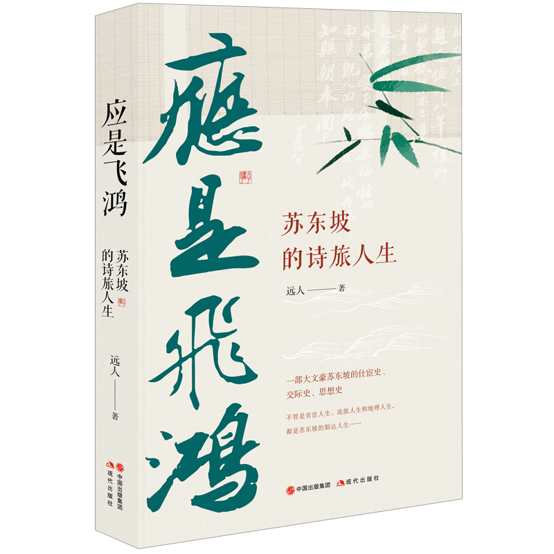 应是飞鸿(苏东坡的诗旅人生)