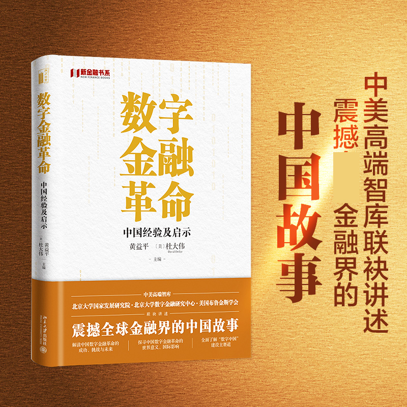 数字金融革命：中国经验及启示