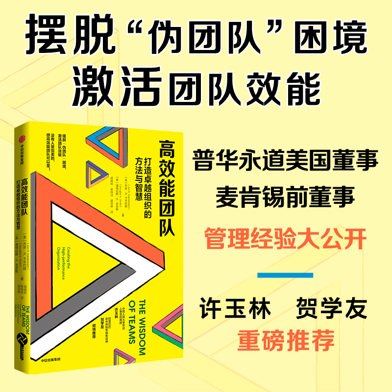 高效能团队：打造卓越组织的方法与智慧