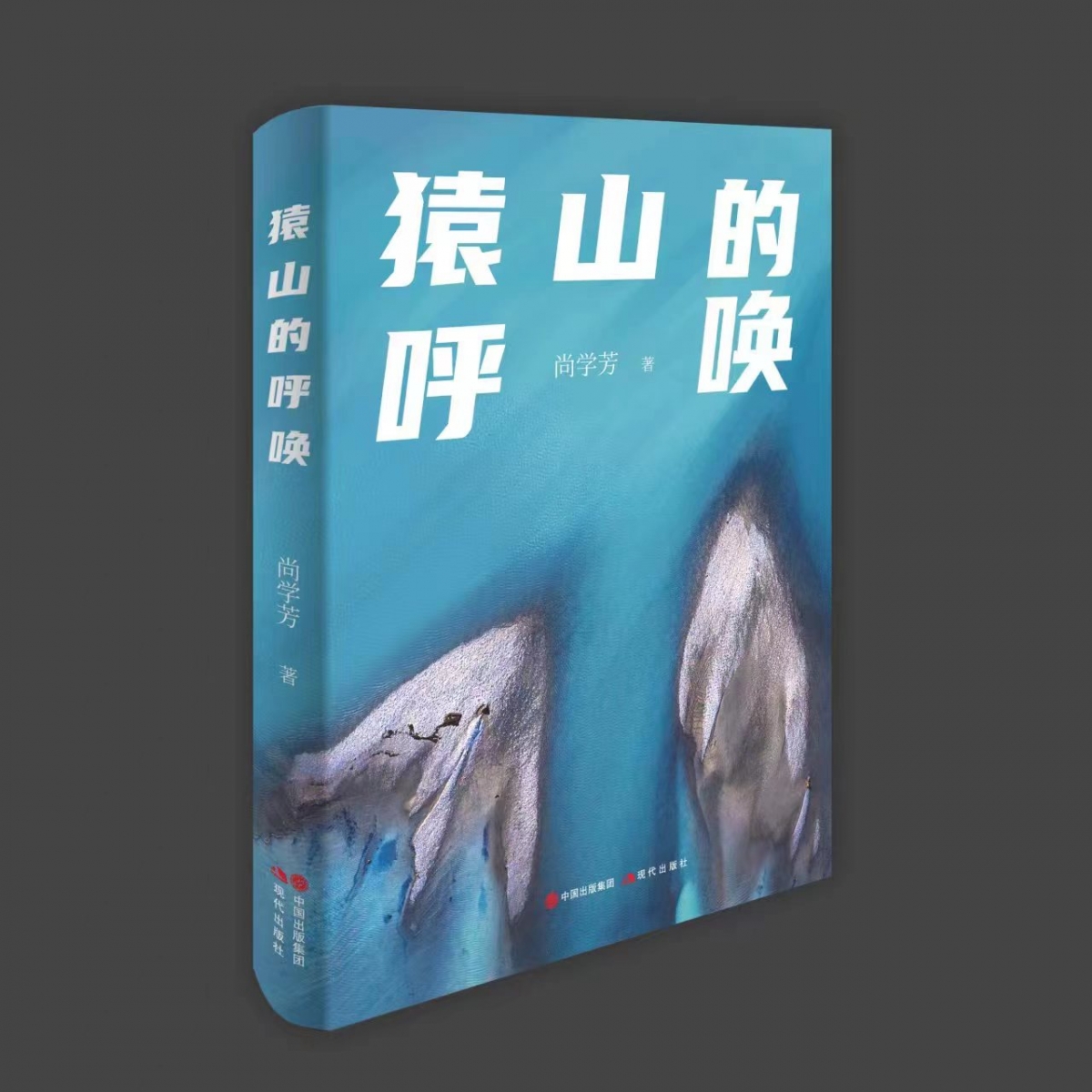 猿山的呼唤