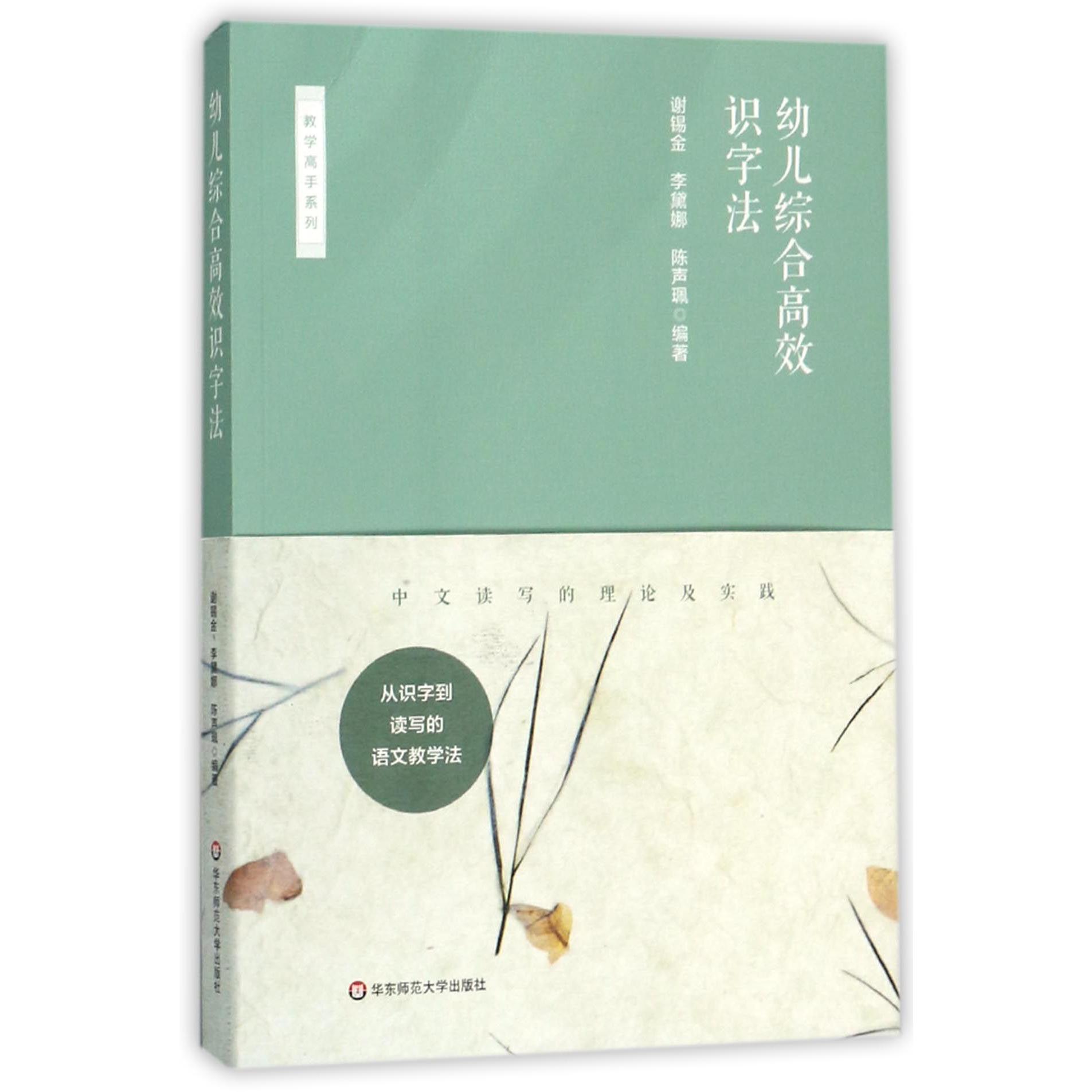 幼儿综合高效识字法/教学高手系列