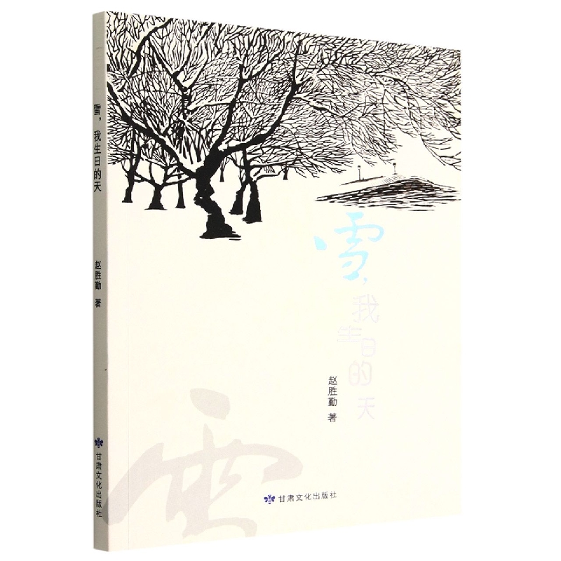 雪我生日的天