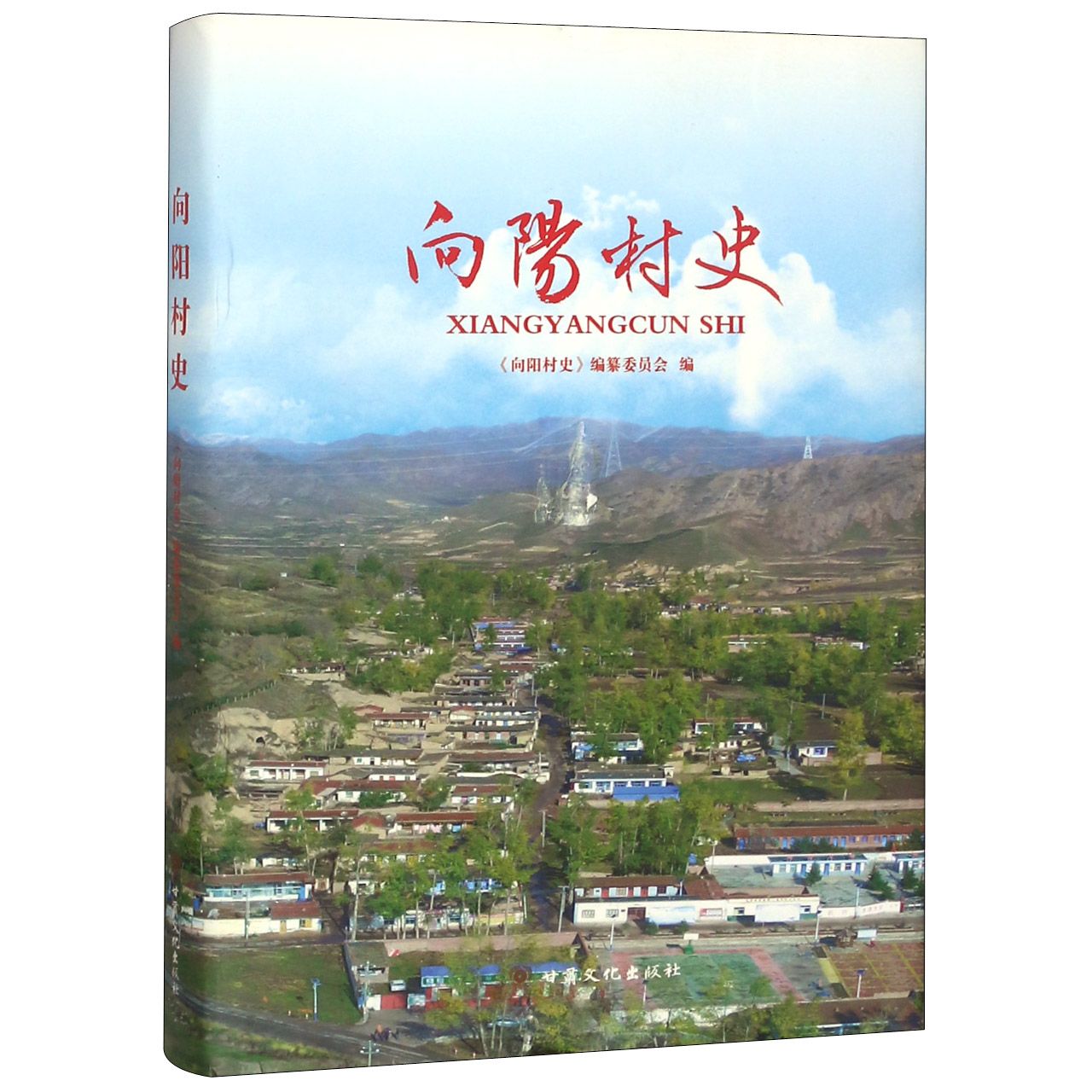 向阳村史(精)