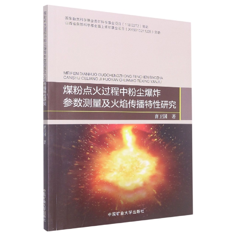 煤粉点火过程中粉尘爆炸参数测量及火焰传播特性研究