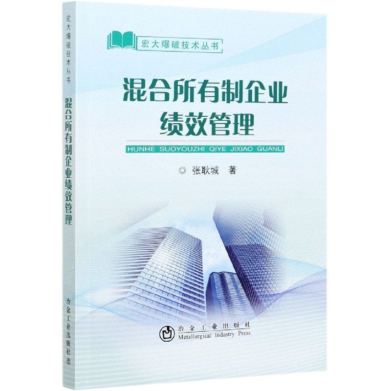 混合所有制企业绩效管理/宏大爆破技术丛书
