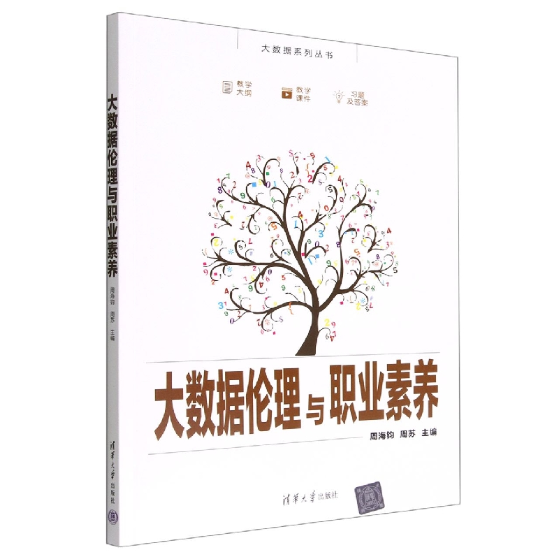 大数据伦理与职业素养/大数据系列丛书