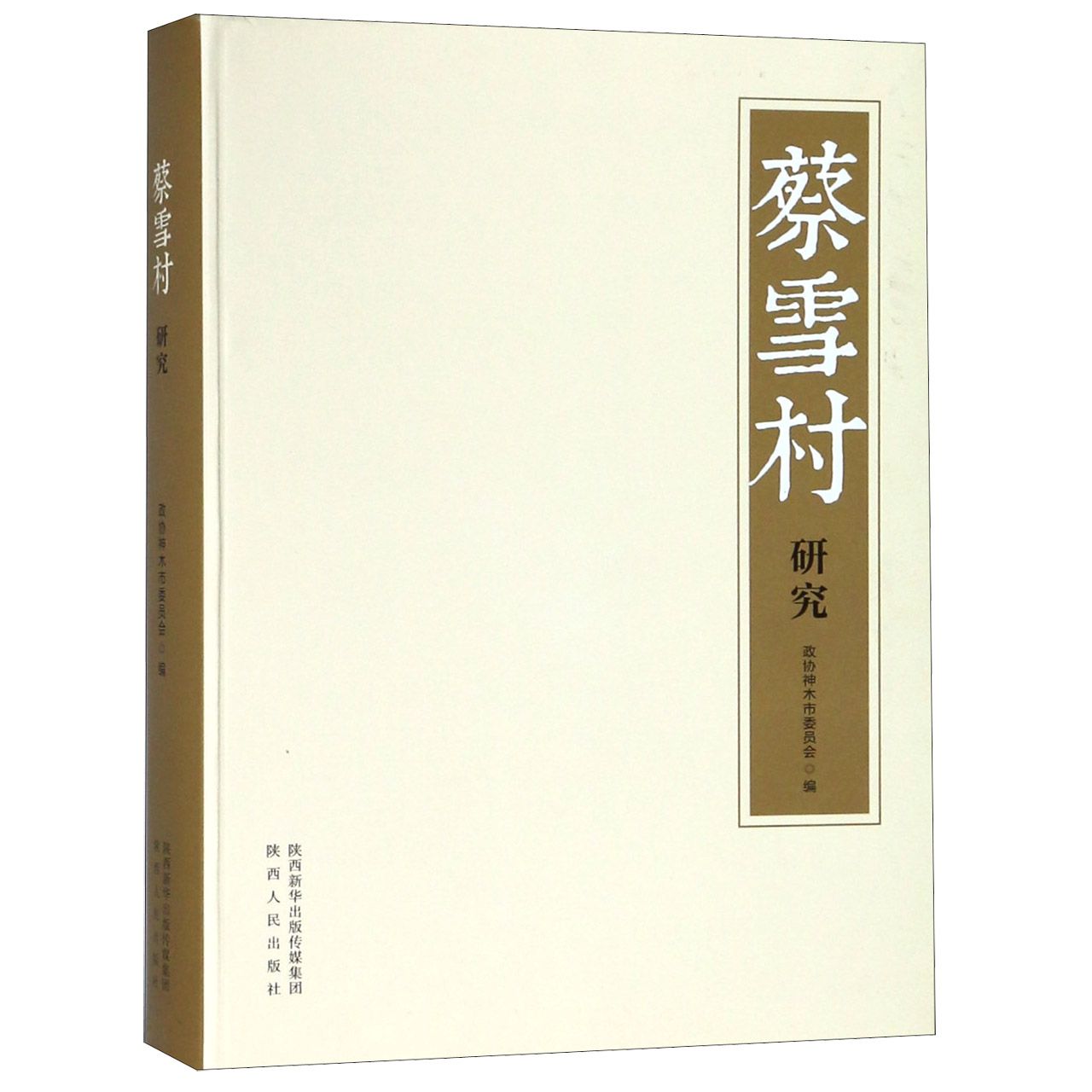 蔡雪村研究