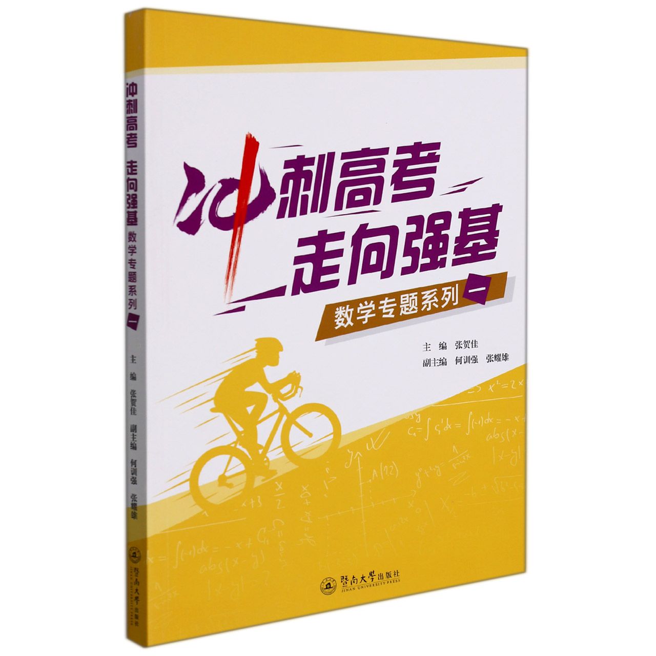 冲刺高考 走向强基：数学专题系列一