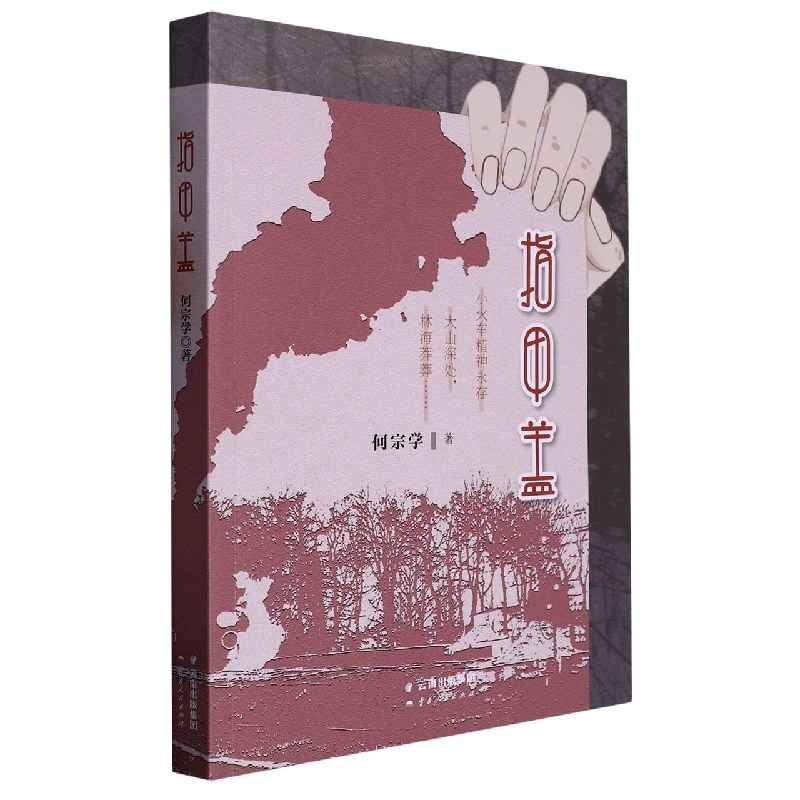 中国当代长篇小说:指甲盖