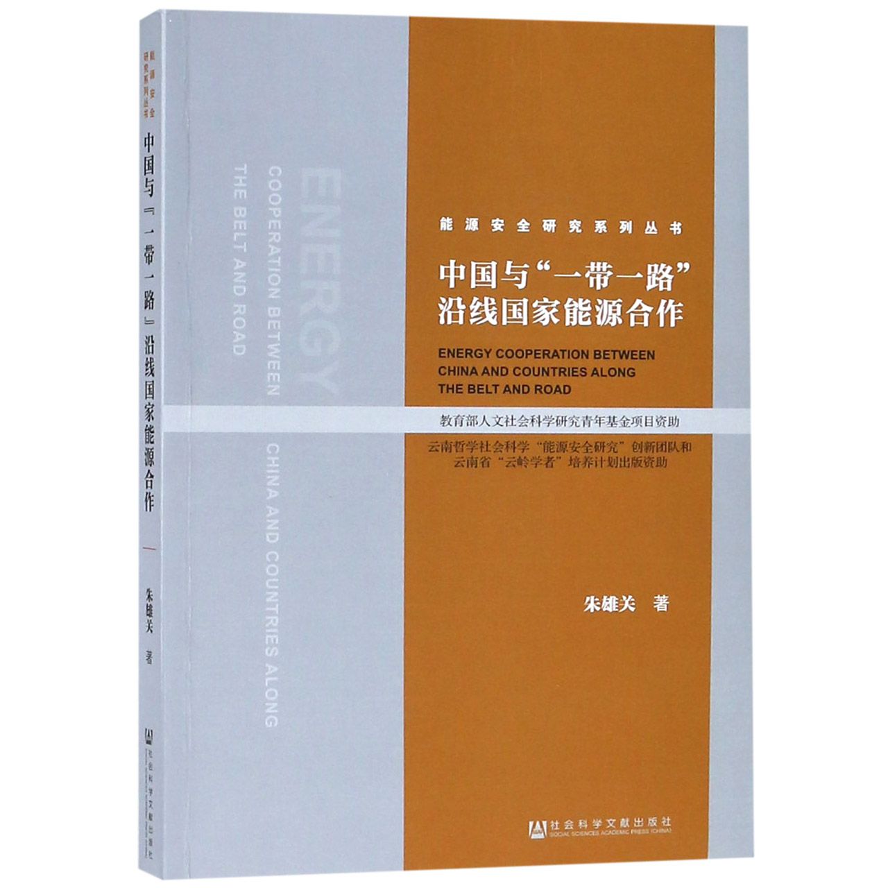 中国与一带一路沿线国家能源合作/能源安全研究系列丛书