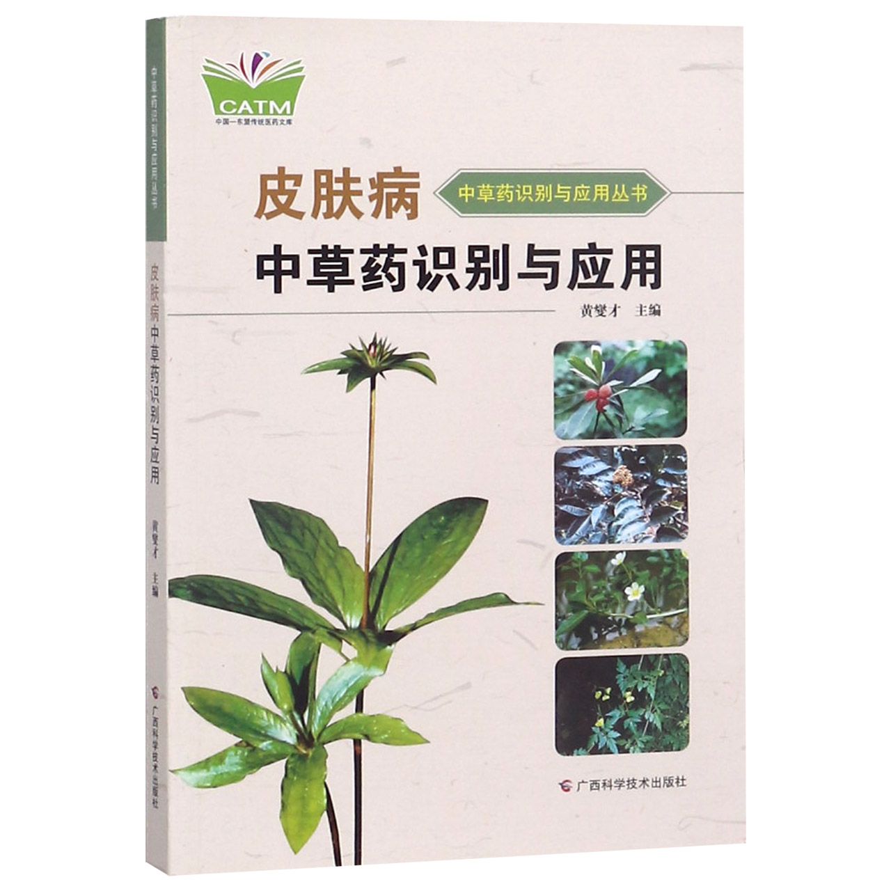 皮肤病中草药识别与应用/中草药识别与应用丛书/中国东盟传统医药文库