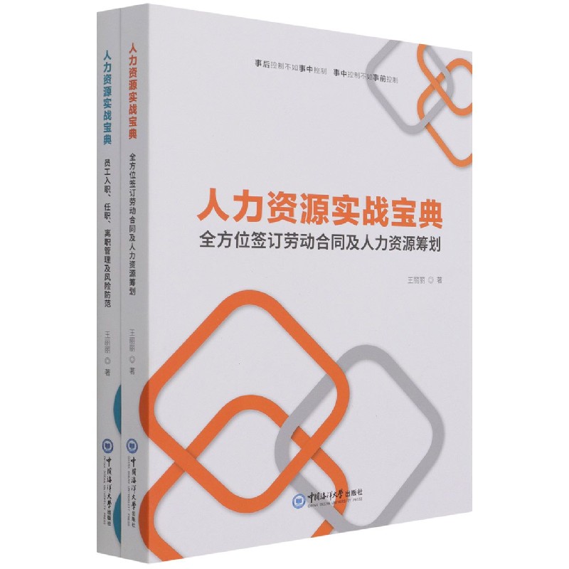 人力资源实战宝典(共2册)
