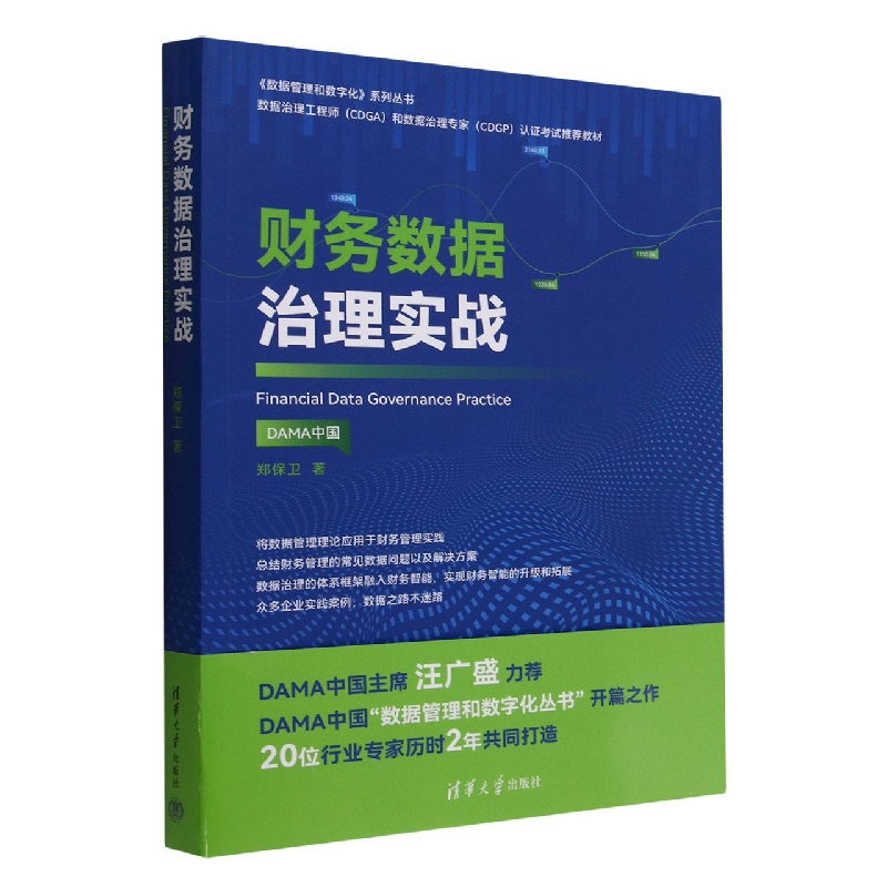 财务数据治理实战/数据管理和数字化系列丛书