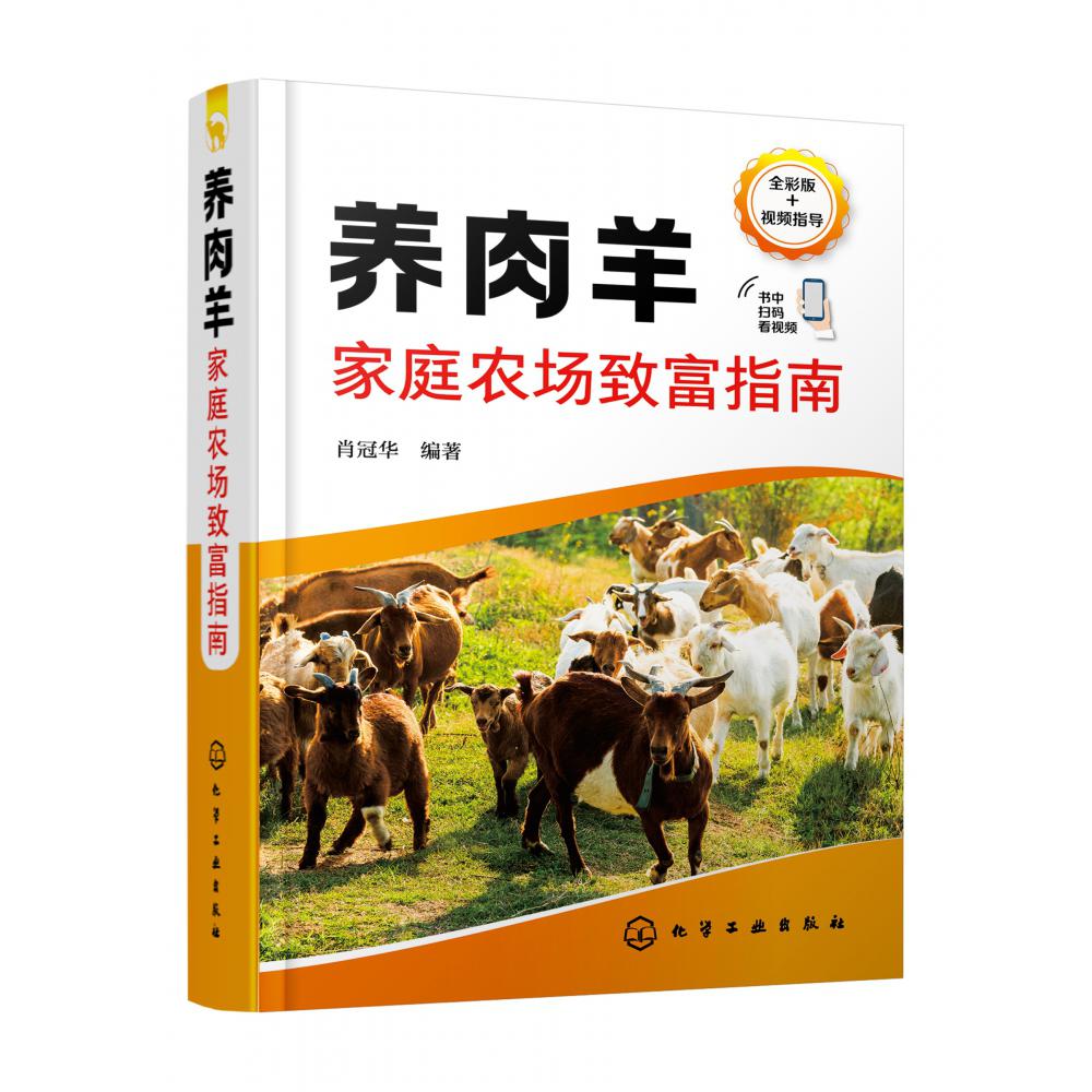 养肉羊家庭农场致富指南