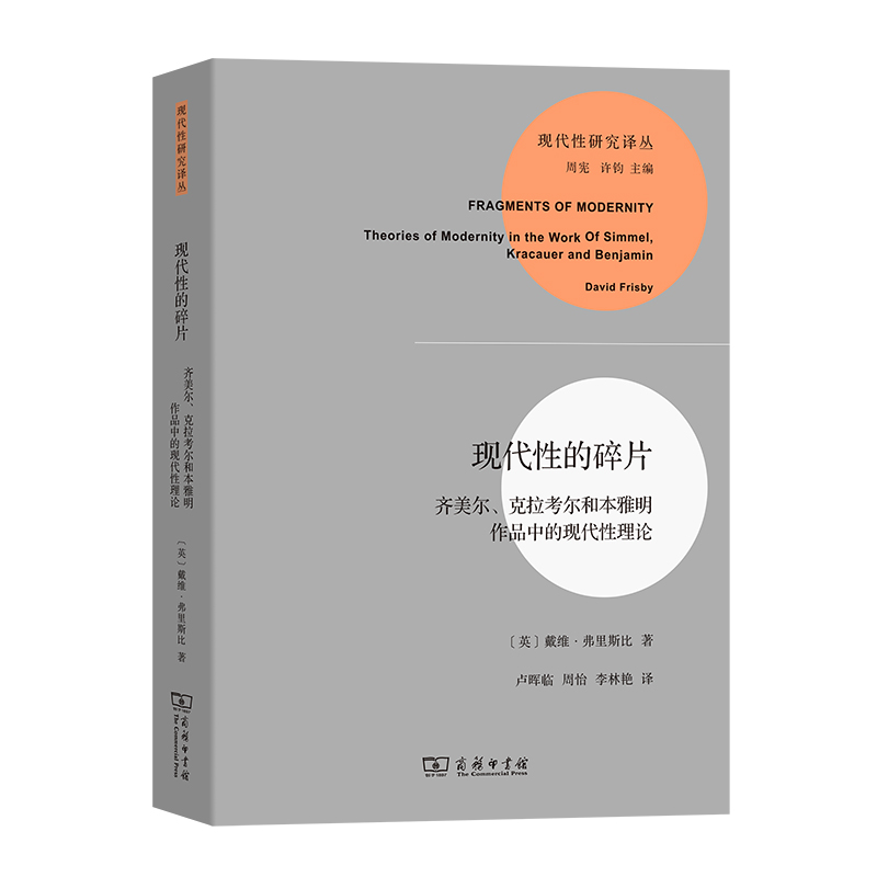 现代性的碎片（齐美尔克拉考尔和本雅明作品中的现代性理论）/现代性研究译丛